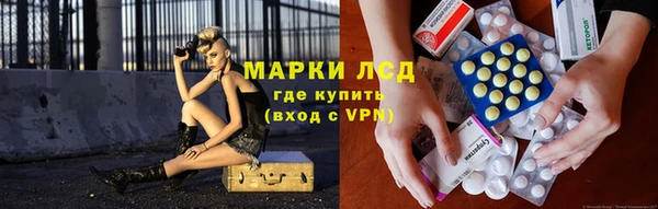 мяу мяу мука Елизово