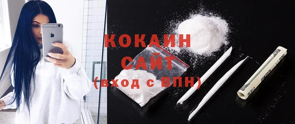прущие грибы Дмитров