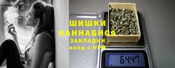 mdpv Ельня