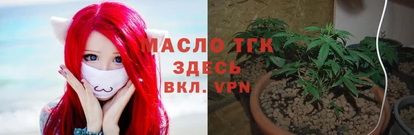 мяу мяу мука Елизово