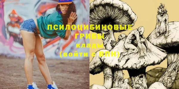хмурый Гусев