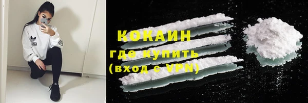 прущие грибы Дмитров