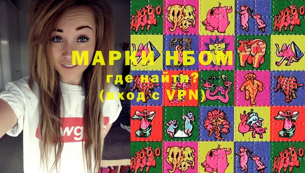 прущие грибы Дмитров