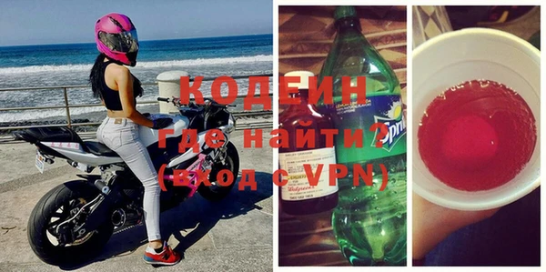 прущие грибы Дмитров