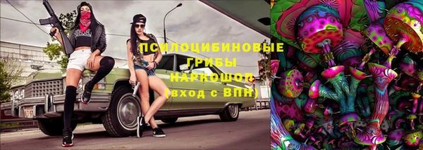 mdpv Ельня