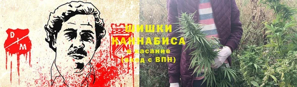 прущие грибы Дмитров