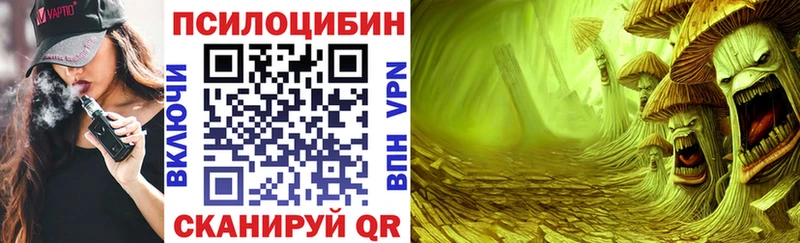 Псилоцибиновые грибы Magic Shrooms  KRAKEN как войти  Красноперекопск  даркнет сайт 