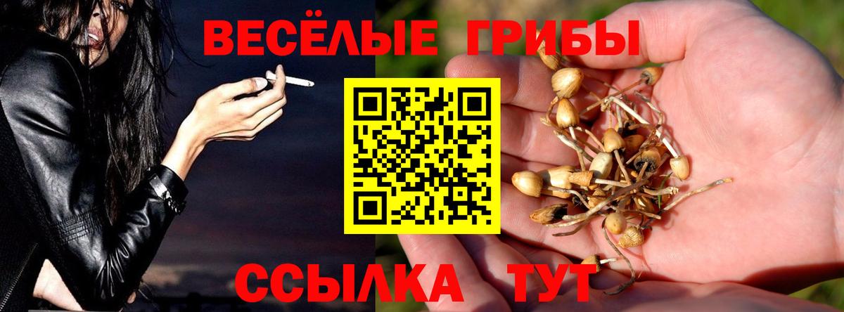 Псилоцибиновые грибы прущие грибы Красноперекопск
